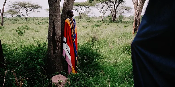 Safari
