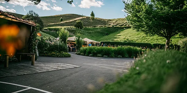 New Zealand's Adrenaline Cathedral