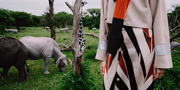 Chobe National Park, Botswana